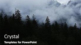  Presentation with dark forest - Audience pleasing slide set consisting of dark forest with fog in nothern europe backdrop and a black colored foreground