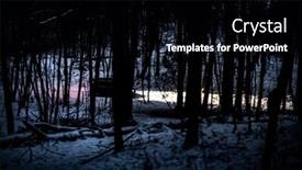  Presentation with dark forest - Presentation design having dark-forest-with-strange-light background and a  colored foreground