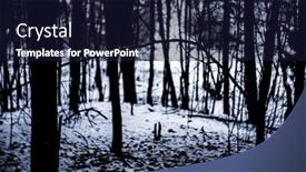  Presentation with dark forest - Slide deck enhanced with dark-forest-with-strange-light background and a wine colored foreground