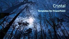  Presentation with creepy - Audience pleasing slides consisting of dark forest backdrop and a ocean colored foreground