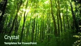  Presentation with dark forest - PPT layouts with branches rainy autumn - dark forest background and a tawny brown colored foreground