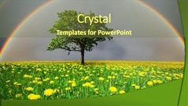  Presentation with sky rainbow - PPT layouts enhanced with free dark green - dandelion field and tree background and a tawny brown colored foreground