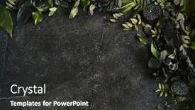  Presentation with tropical leave - PPT theme consisting of leaves mockup on natural black background and a dark gray colored foreground