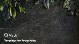  Presentation with tropical leave - Beautiful PPT layouts featuring leaves mockup on natural black backdrop and a dark gray colored foreground