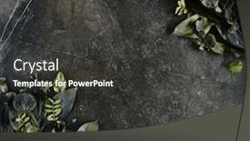  Presentation with tropical leave - PPT layouts having leaves mockup on natural black background and a dark gray colored foreground