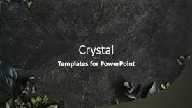  Presentation with tropical leave - Presentation theme featuring dark green tropical leaves mockup background and a dark gray colored foreground