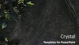  Presentation with tropical leave - Theme with dark green tropical leaves mockup on natural black stone background with copyspace top view leave frame made of exotic jungle foliage and flowers in trendy terrarium moss color background and a dark gray colored foreground