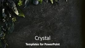  Presentation with tropical leave - Beautiful slide deck featuring dark green tropical leaves mockup on natural black stone background with copyspace top view leave frame made of exotic jungle foliage and flowers in trendy terrarium moss color backdrop and a dark gray colored foreground