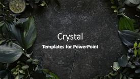  Presentation with dark green - Presentation with stones - dark green tropical leaves background and a dark gray colored foreground