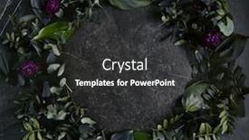  Presentation with dark green - Colorful presentation theme enhanced with tropical leaves on natural black backdrop and a wine colored foreground