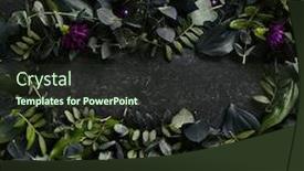  Presentation with dark green - Presentation theme having natural black stone background background and a tawny brown colored foreground