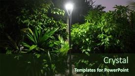  Presentation with dark green - Presentation theme enhanced with dark-green-tropical-plants background and a tawny brown colored foreground