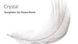  Presentation with dark grey - Colorful PPT theme enhanced with dark grey feather isolated on white background backdrop and a white colored foreground