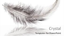  Presentation with dark grey - Colorful PPT layouts enhanced with dark-grey-feather-isolated backdrop and a white colored foreground