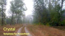  Presentation with foggy forest - Presentation featuring dark hazy colors - countryside road in morning foggy background and a tawny brown colored foreground