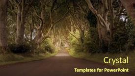  Presentation with ireland - Presentation design having dark-hedges-north-ireland-county background and a tawny brown colored foreground