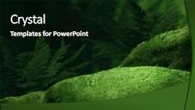  Presentation with dark forest - Colorful PPT theme enhanced with dark magic forest with big backdrop and a black colored foreground