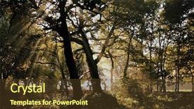  Presentation with dark forest - Amazing slide deck having dark misty forest with strong backdrop and a tawny brown colored foreground