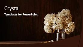  Presentation with dark flower - Presentation theme featuring dark-moody-faded-autumn-hydrangea background and a black colored foreground