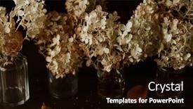  Presentation with dark flower - Presentation theme consisting of dark-moody-faded-autumn-hydrangea background and a black colored foreground