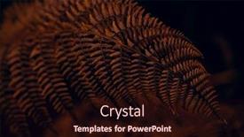  Presentation with faded - Presentation theme enhanced with dark-moody-faded-autumn-leaf background and a wine colored foreground