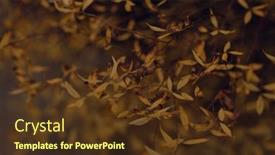  Presentation with faded - Presentation theme having dark-moody-faded-autumn-leaf background and a tawny brown colored foreground