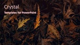  Presentation with faded - Theme consisting of dark-moody-faded-autumn-leaf background and a wine colored foreground
