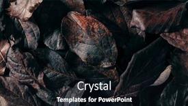  Presentation with faded - PPT layouts featuring dark-moody-faded-brown-autumn background and a wine colored foreground