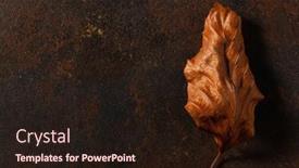  Presentation with faded - PPT theme having dark-moody-faded-brown-autumn background and a wine colored foreground