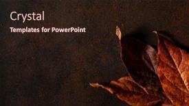  Presentation with faded - PPT layouts with dark-moody-faded-brown-autumn background and a wine colored foreground