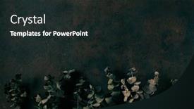  Presentation with decay - Presentation having dark-moody-faded-eucalyptus-autumn background and a wine colored foreground