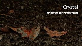  Presentation with autumn leaves - Slide deck having dark-muddy-road-background-dirty background and a black colored foreground