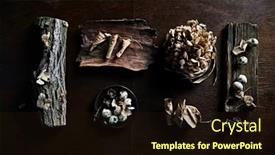  Presentation with life - Audience pleasing slides consisting of dark-nature-themed-still-life backdrop and a wine colored foreground