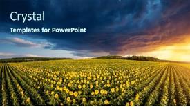  Presentation with agrarian - Theme enhanced with dark-ominous-clouds-over background and a navy blue colored foreground