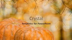  Presentation with orange - Slides having dark-orange-pumpkins-on-autumn background and a yellow colored foreground