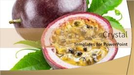  Presentation with passion fruit - PPT layouts with dark-purple-passion-fruit background and a  colored foreground