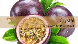  Presentation with purple green - Presentation consisting of dark-purple-passion-fruits background and a yellow colored foreground