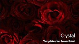  Presentation with roses - PPT theme having dark red with droplets red background and a black colored foreground