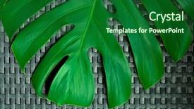  Presentation with dark - PPT theme featuring dark textured background product placement background and a forest green colored foreground