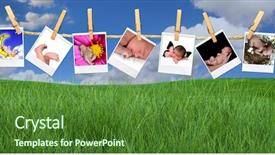  Presentation with infants - Cool new presentation theme with darkroom - seven instant photo images backdrop and a forest green colored foreground