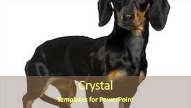  Presentation with old - Colorful theme enhanced with chrysocolla limonite on the white background fone backdrop and a light gray colored foreground