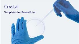  Presentation with data extraction - Colorful presentation design enhanced with tropical fruits - sala papaya mango backdrop and a coral colored foreground