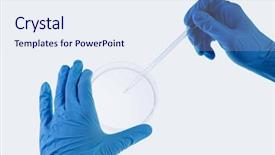  Presentation with data extraction - Cool new PPT theme with hong kong trail beautiful views and nature dragons back backdrop and a teal colored foreground