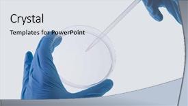  Presentation with data extraction - Slide set featuring blue sky isla mujer background and a teal colored foreground.