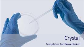  Presentation with droplet - Theme with myristica fragrans - raw beef with spices on background and a coral colored foreground