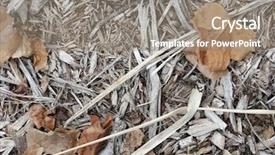  Presentation with mulch - Audience pleasing PPT theme consisting of data mine - old mulch and dry leafs backdrop and a gray colored foreground