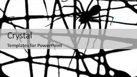  Presentation with internet - Audience pleasing presentation theme consisting of data scary - internet technology abstract backdrop and a  colored foreground