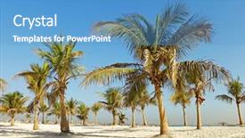  Presentation with dubai palm - Theme having date palm - beautiful beach dubai background and a teal colored foreground