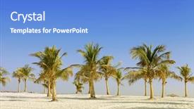  Presentation with dubai palm - Audience pleasing PPT layouts consisting of date palm - beautiful beach dubai backdrop and a teal colored foreground