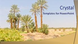  Presentation with date palm - Slide deck enhanced with date palm - tafilalt oasis in morocco background and a sky blue colored foreground